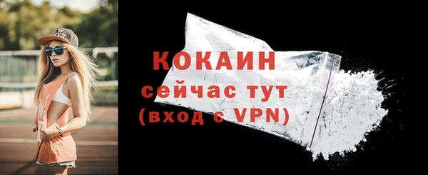 соль ск Бородино