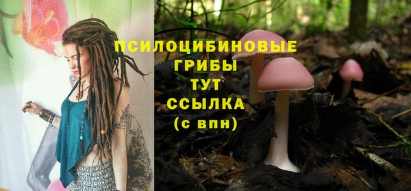 дурь Бронницы